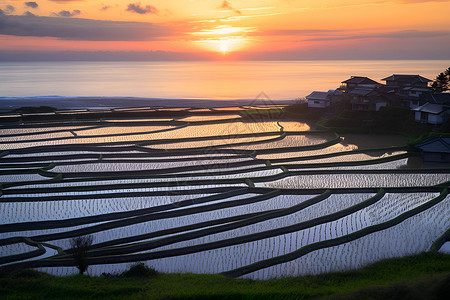 大片农田大片梯田背景