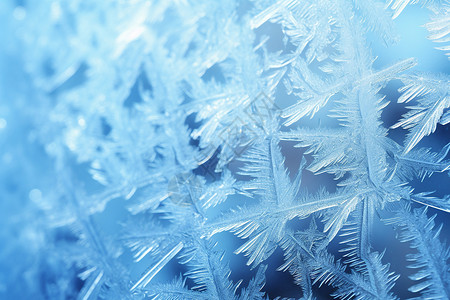 霜冻的雪花水晶白霜高清图片