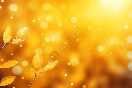阳光下的叶子背景图片