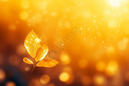 阳光下的树叶背景图片
