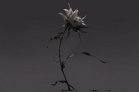 枯萎的玫瑰凋零的花朵插画