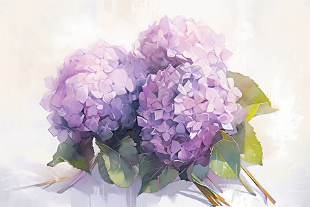 美丽的紫色绣球花朵背景图片