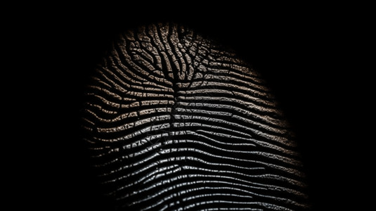 智能指纹识别智能技术的身份指纹识别插画