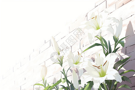 砖墙上的百合花背景图片