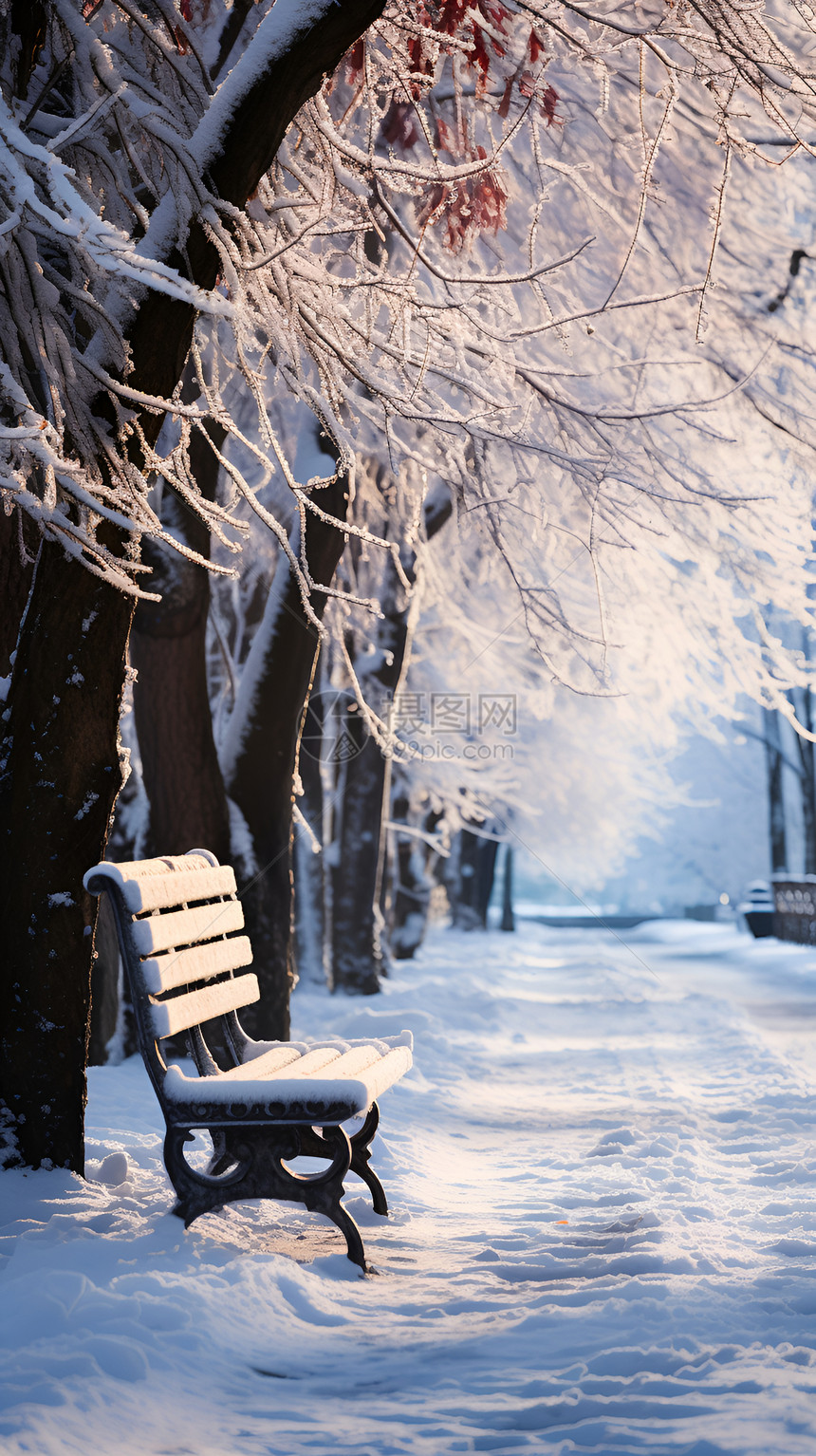 白雪皑皑的公园景观图片