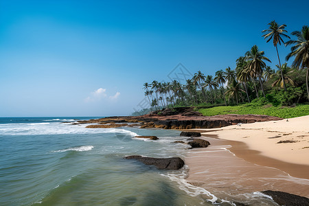 椰树掩映下的海滩背景图片