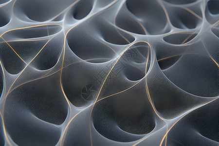 海藻纤维线条纹理背景设计图片