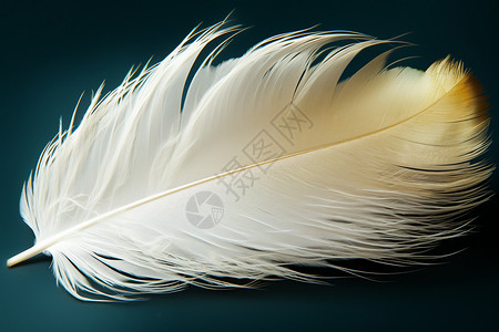 唯美白色羽毛白色的羽毛背景