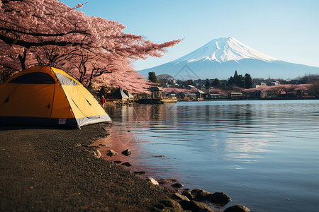 湖边的樱花和远山背景图片