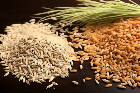 营养丰富的谷物粮食背景图片