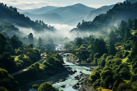 桥梁森林云雾山脉中的桥梁背景