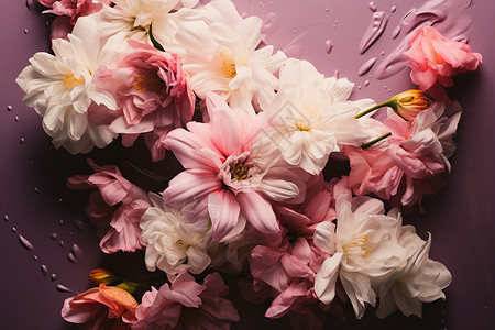 花海梦幻的新鲜花朵背景图片