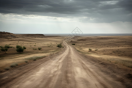 沙漠中的小路背景图片