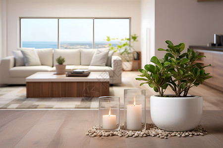 简约家居中的植物与蜡烛背景图片