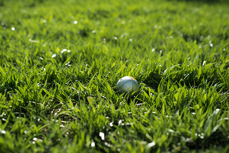 绿草地上的小球背景图片