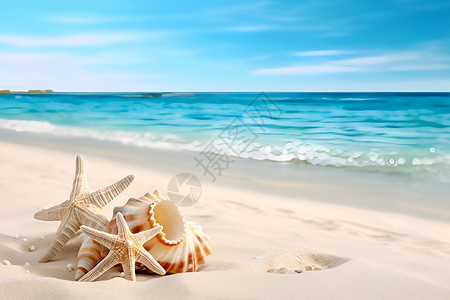 海滩上海星和海螺背景图片