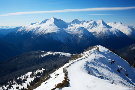 山顶积雪图片搜索白雪覆盖的山顶背景