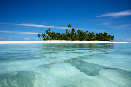 太平洋风景蓝色天空下的小岛背景