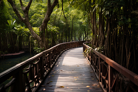 森林之桥背景图片