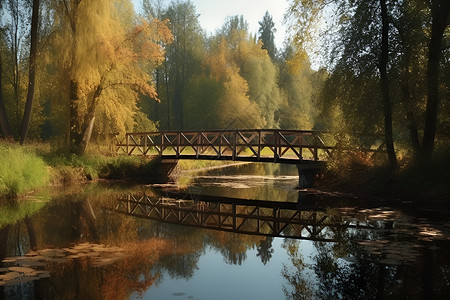树林中的桥梁和水畔背景图片
