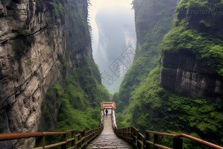 钢木楼梯山脉中的楼梯背景