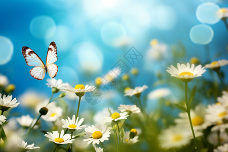 蝴蝶飞舞的花海背景图片