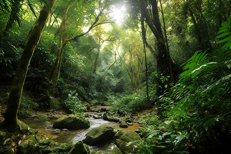 绿色丛林自然雨林缸高清图片