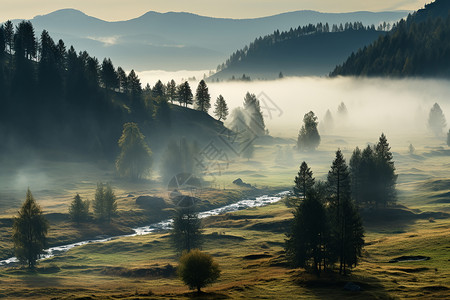 晨雾中的山谷背景图片