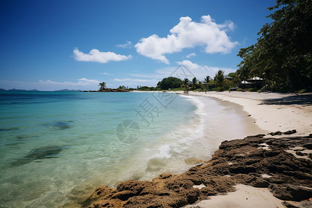 热带海滩的美景背景图片