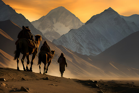荒漠中的骆驼背景图片