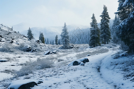 白雪皑皑的山中雪径背景图片