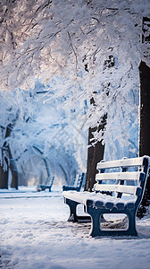 冬日白雪覆盖的孤寂长椅背景图片