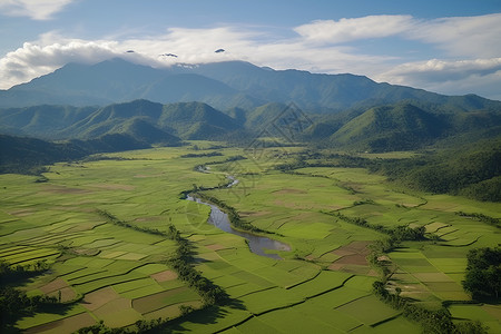 菲律宾农田乡村伊里加高清图片