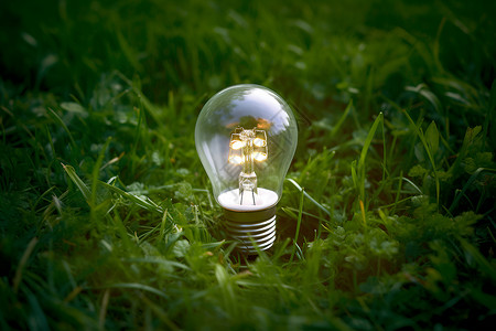 灯泡创新草地上亮着一盏发光的灯泡背景
