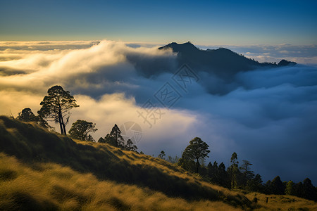 山顶云雾背景图片