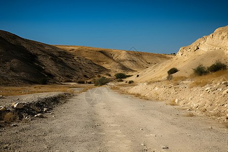 沙漠中的道路高清图片