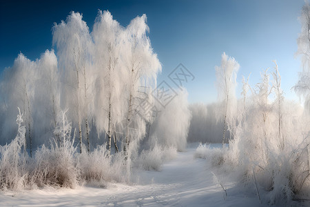 冬天的大树树林中的冰雪背景