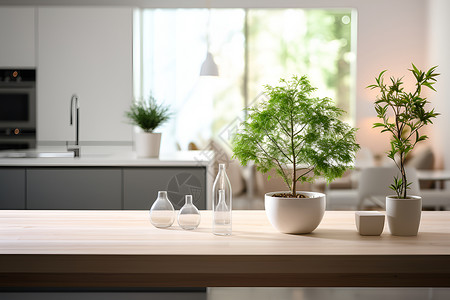 厨房餐桌上的绿植背景图片