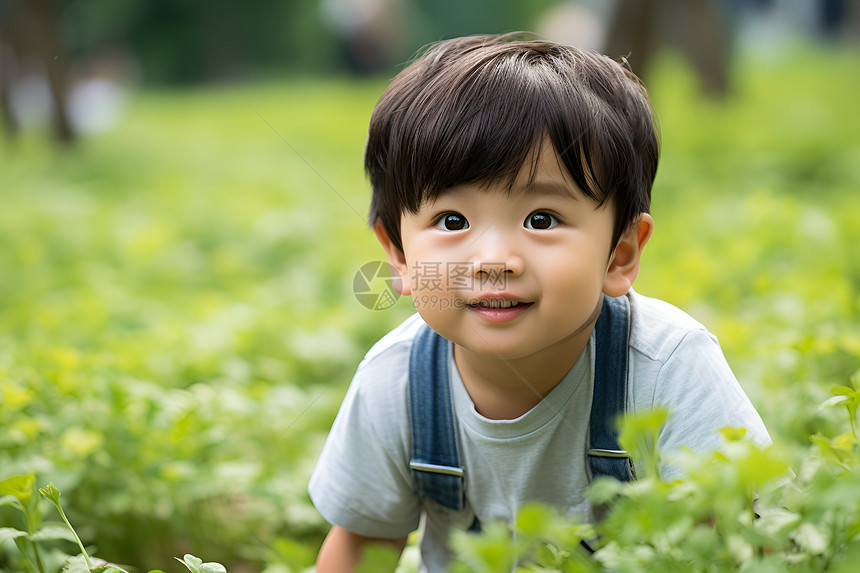 绿丛中的男孩图片