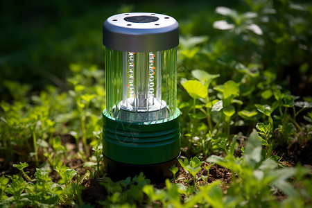 酷炫科技光芒花园中的绿色光芒背景