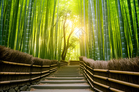 竹林中的石板台阶背景图片