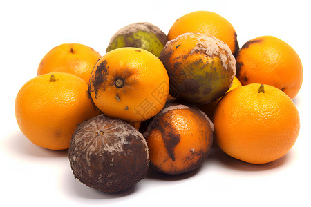 腐烂水果发霉的橙子背景