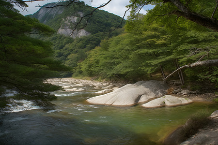 森林河流景观背景图片