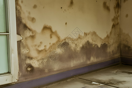 霉菌发霉的墙壁背景