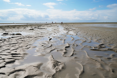 泥滩沙滩上的足迹背景