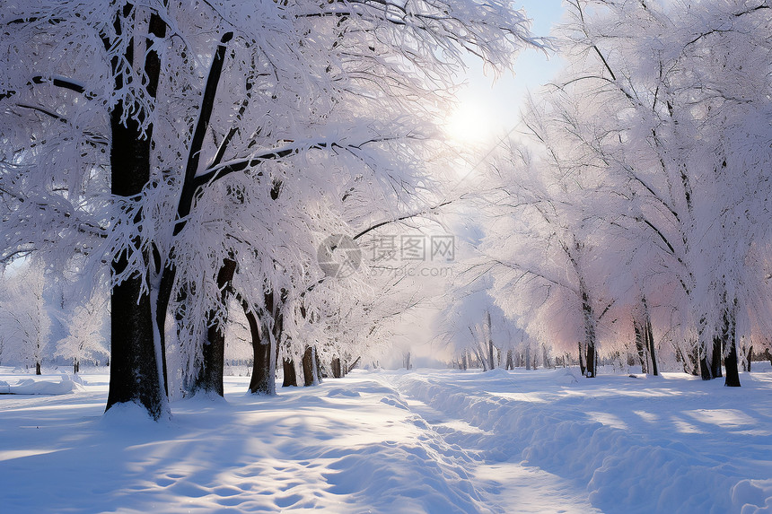 冬日灵境图片