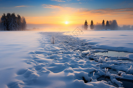 冻结隐藏树木冬日农田的雪原背景