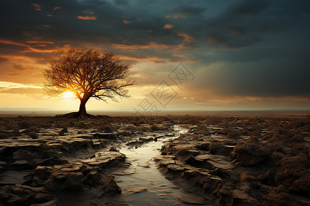 一个孤独的树=高清图片