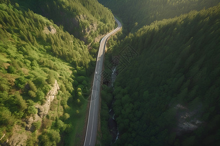 森林中曲径的公路背景图片