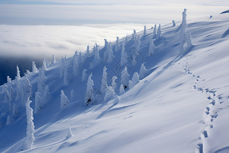 雪山滑雪之旅背景图片